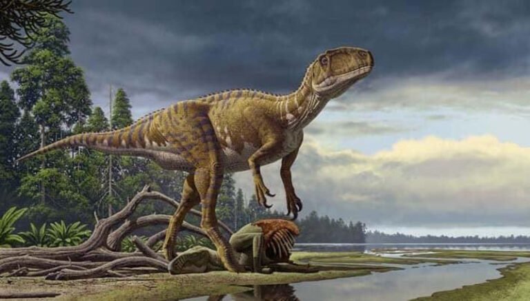 What Dinosaurs lived in Japan?