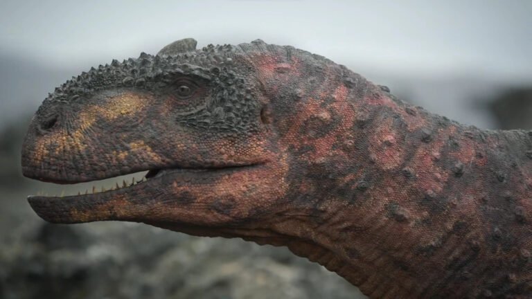 What Dinosaurs lived in India?