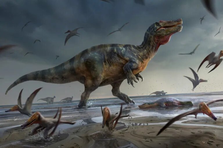 What Dinosaurs lived in Europe? Part 2