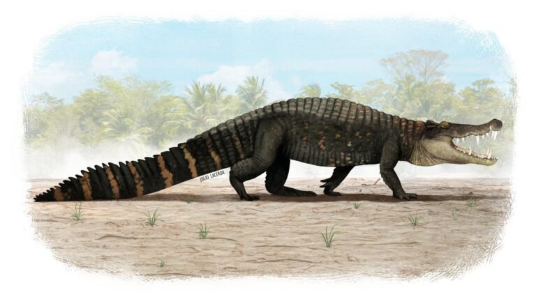 Kaprosuchus 01