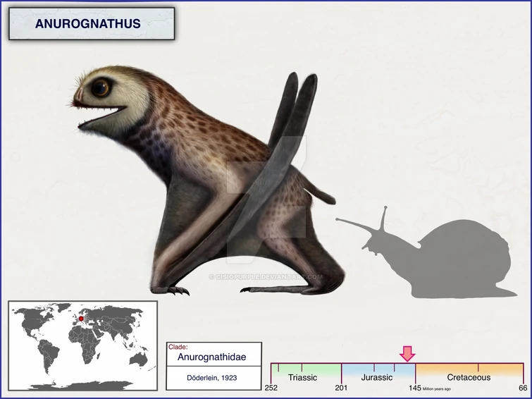 Anurognathus 03 Size Comparison