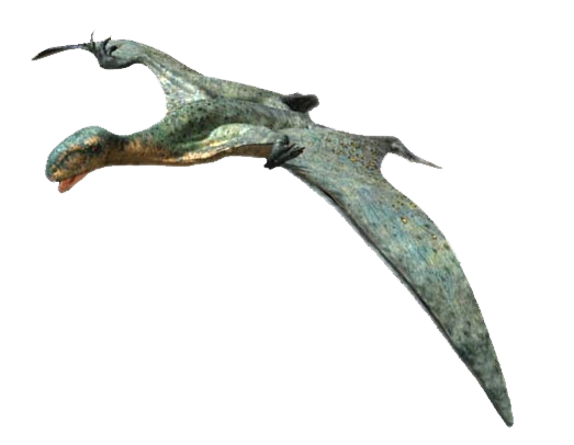 Anurognathus 04