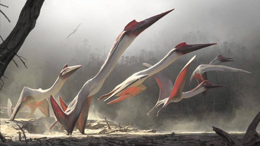 Pterosaurs 03