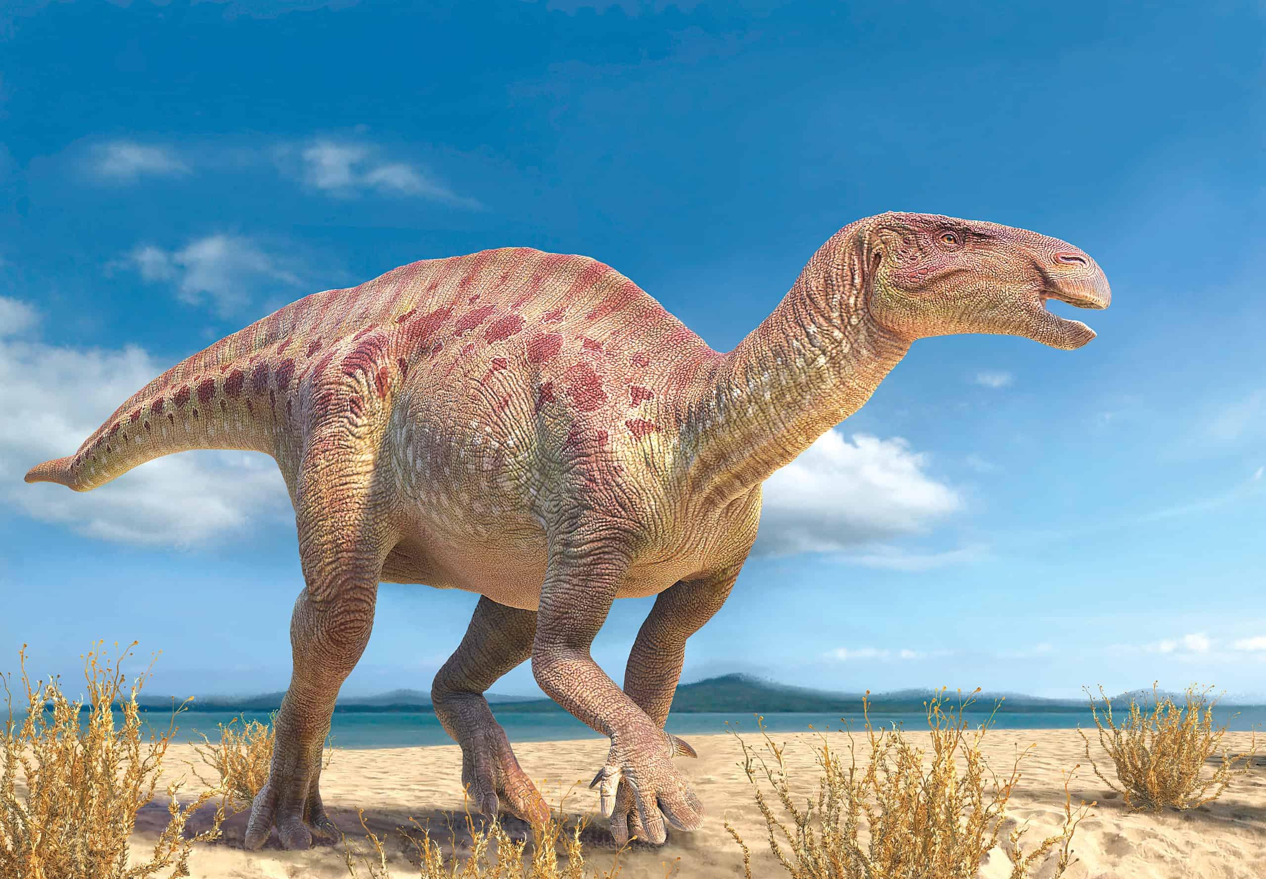 What Dinosaurs Lived In Europe? Part 1: United Kingdom