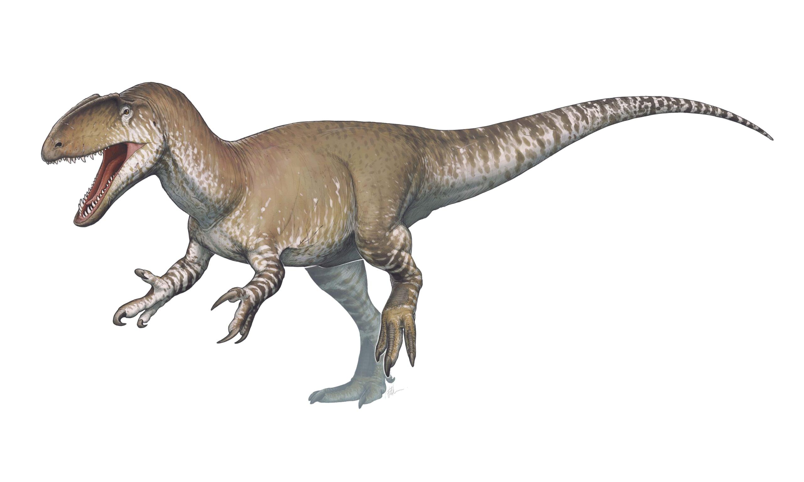 Dinosaur: Neovenator