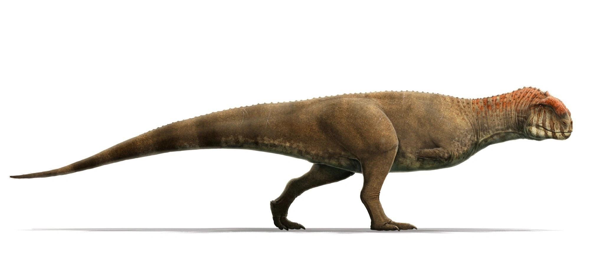 Dinosaur: Majungasaurus