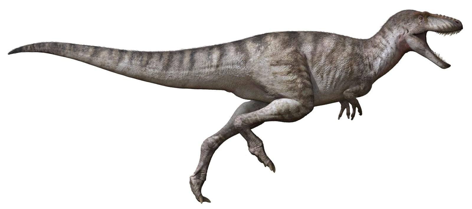 Dinosaur: Asiatyrannus