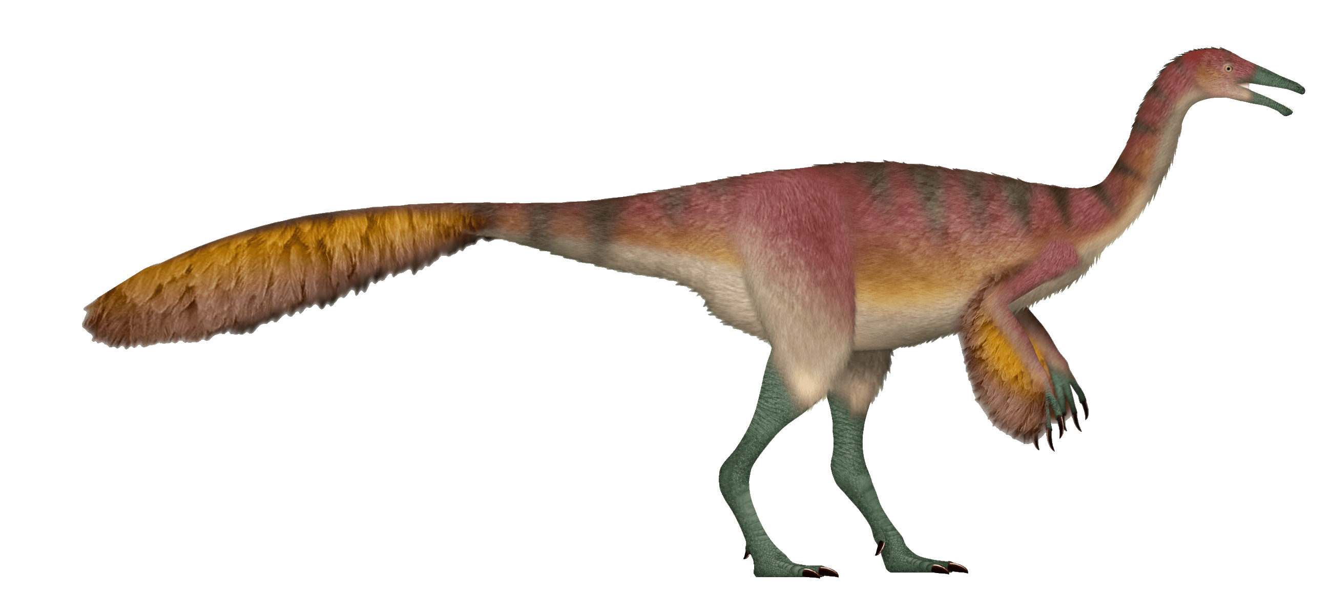 Dinosaur: Tyrannomimus